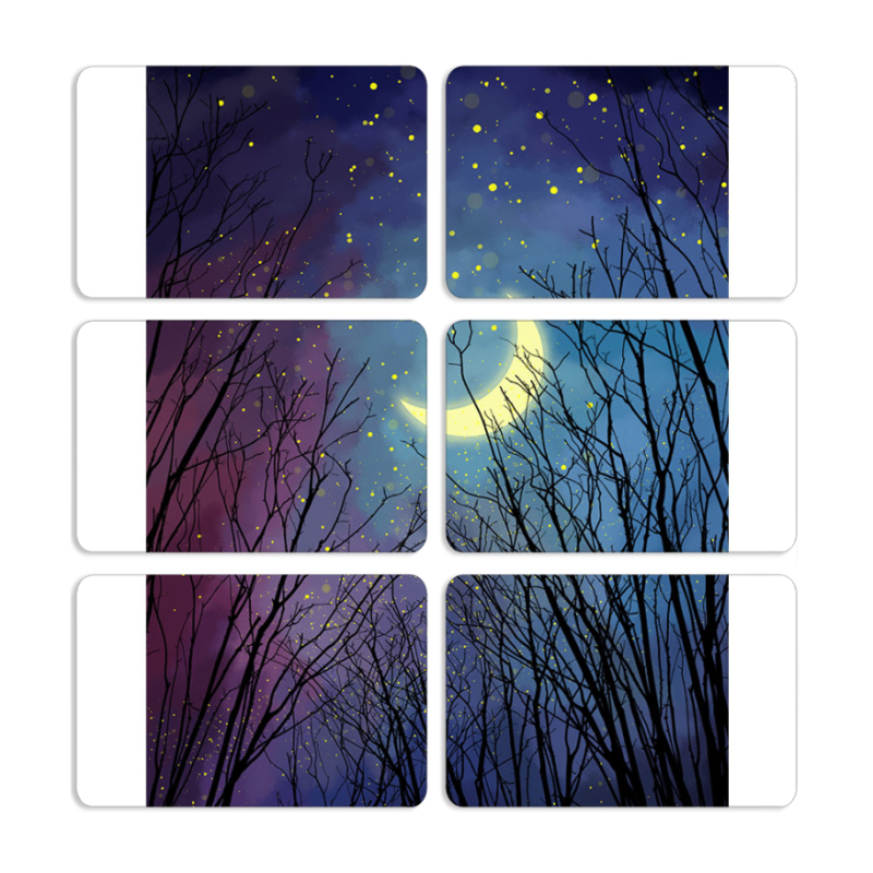 Магнитные фотопазлы 80 на 50 набор 6 штук 