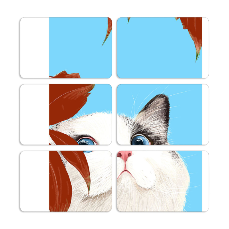 Магнитные фотопазлы 80 на 50 набор 6 штук Wondering Cat