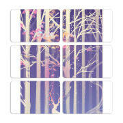 Магнитные фотопазлы 80 на 50 набор 6 штук 