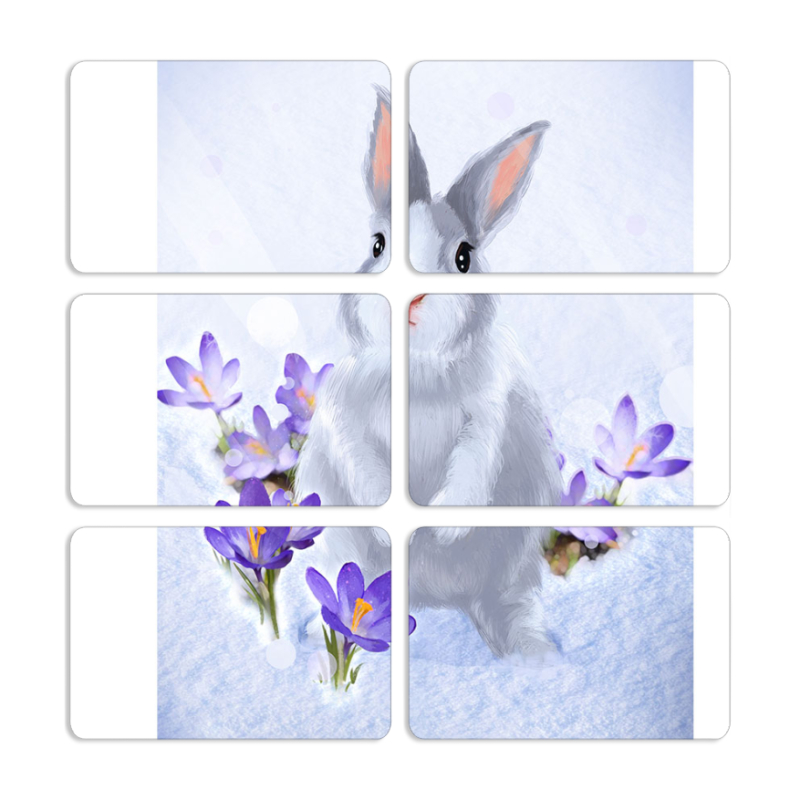 Магнитные фотопазлы 80 на 50 набор 6 штук 