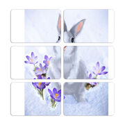 Магнитные фотопазлы 80 на 50 набор 6 штук 