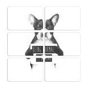 Магнитные фотопазлы 80 на 50 набор 6 штук 