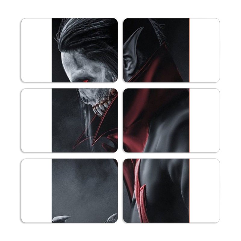 Магнитные фотопазлы 80 на 50 набор 6 штук 