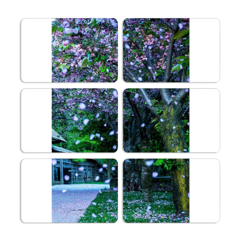 Магнитные фотопазлы 80 на 50 набор 6 штук 