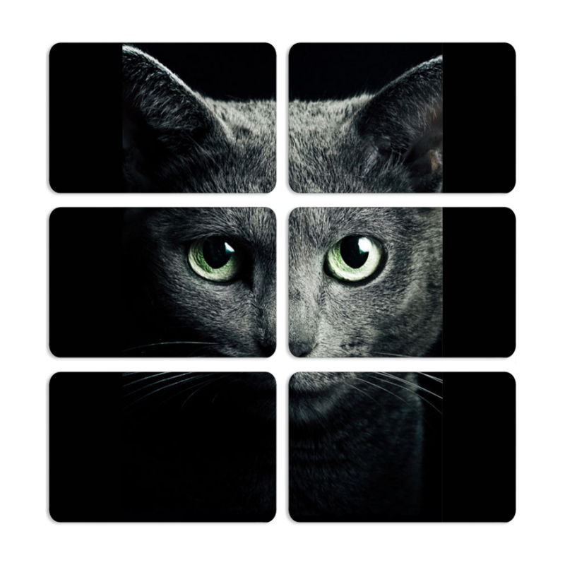 Магнитные фотопазлы 80 на 50 набор 6 штук 