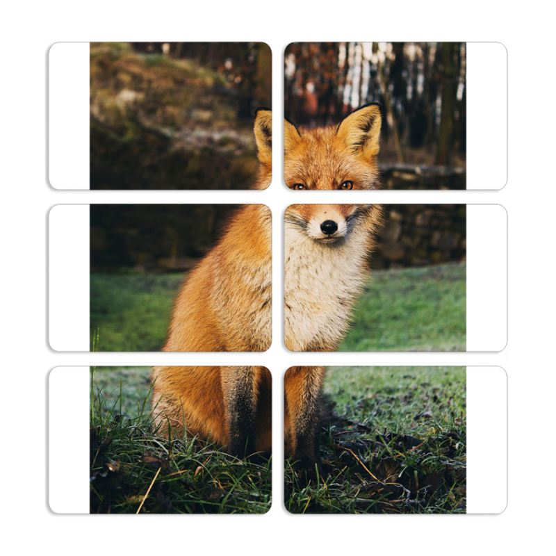 Магнитные фотопазлы 80 на 50 набор 6 штук 