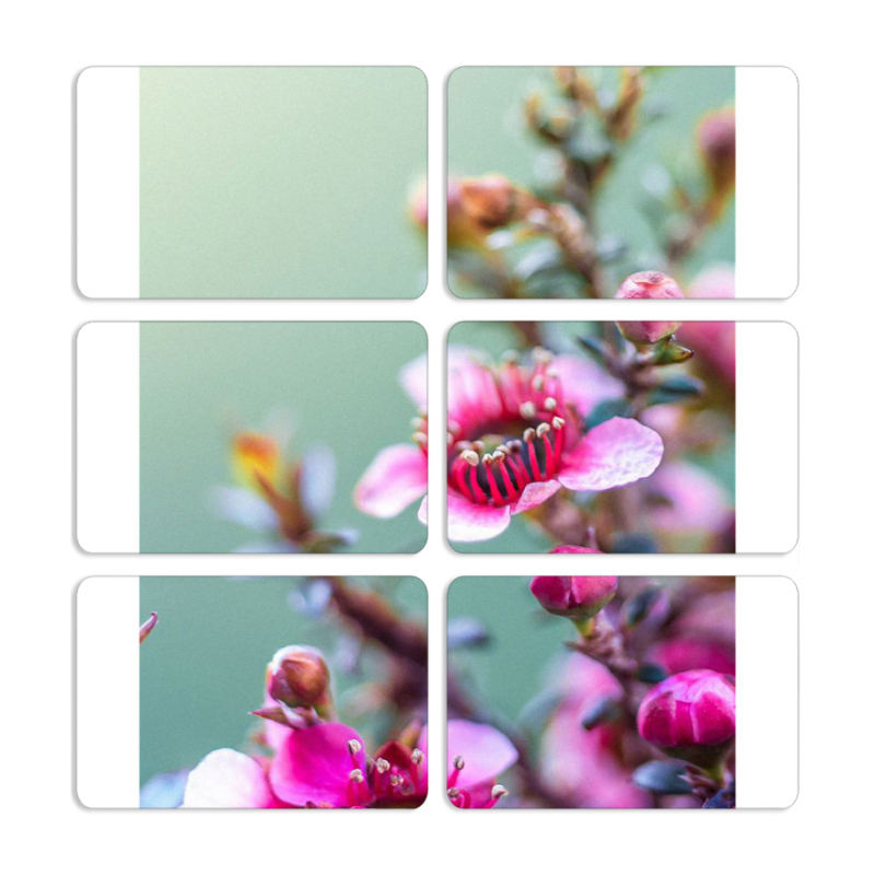 Магнитные фотопазлы 80 на 50 набор 6 штук 