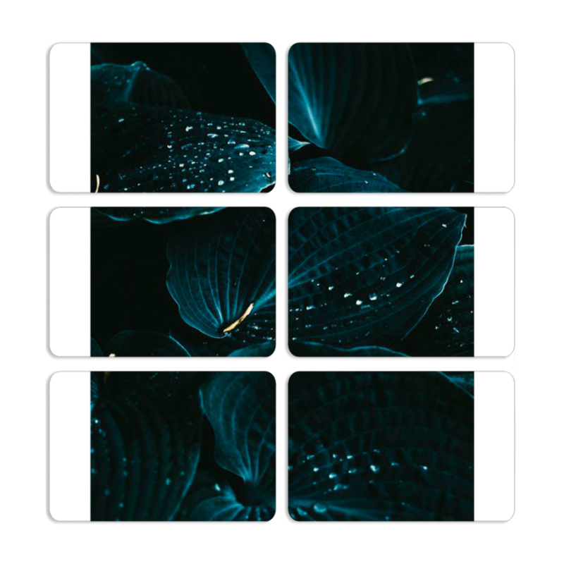 Магнитные фотопазлы 80 на 50 набор 6 штук 