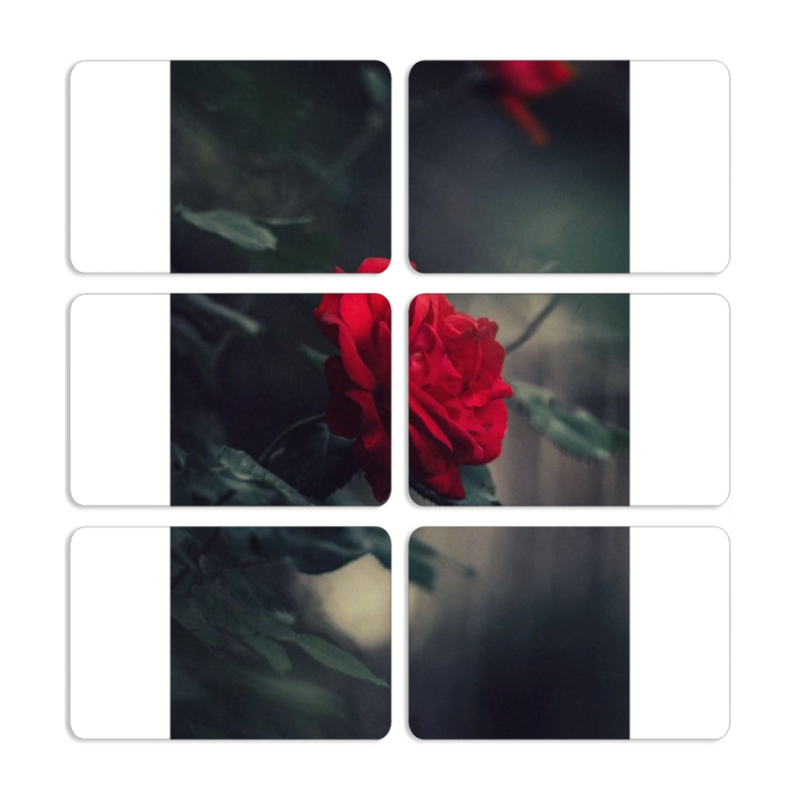 Магнитные фотопазлы 80 на 50 набор 6 штук 