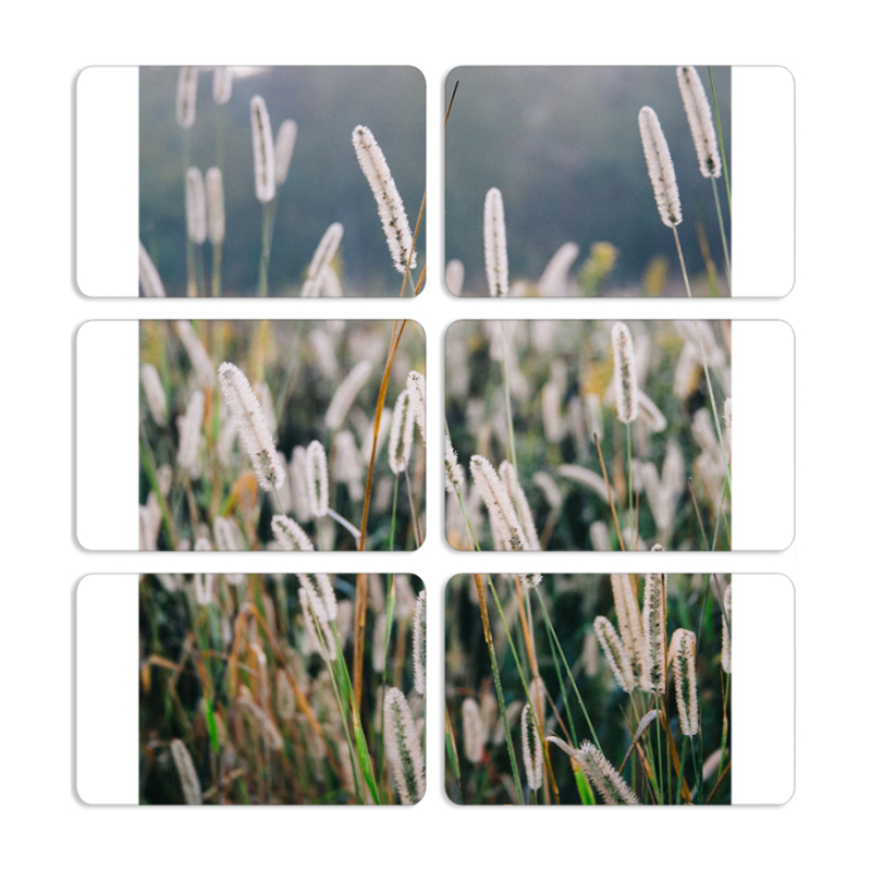 Магнитные фотопазлы 80 на 50 набор 6 штук 