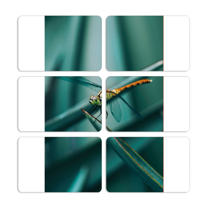 Магнитные фотопазлы 80 на 50 набор 6 штук 