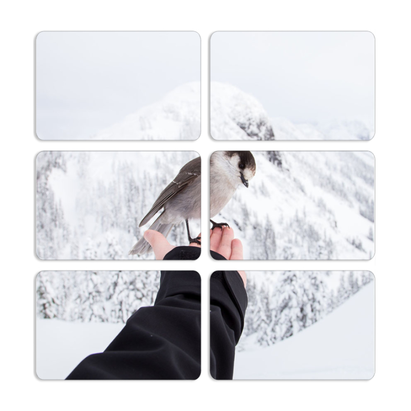 Магнитные фотопазлы 80 на 50 набор 6 штук 