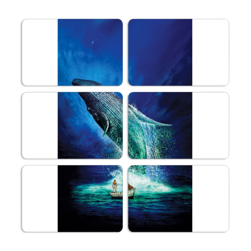 Магнитные фотопазлы 80 на 50 набор 6 штук Sea Giant