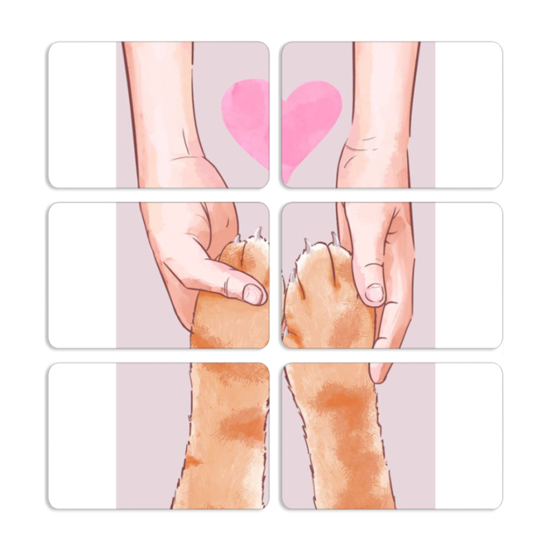 Магнитные фотопазлы 80 на 50 набор 6 штук 