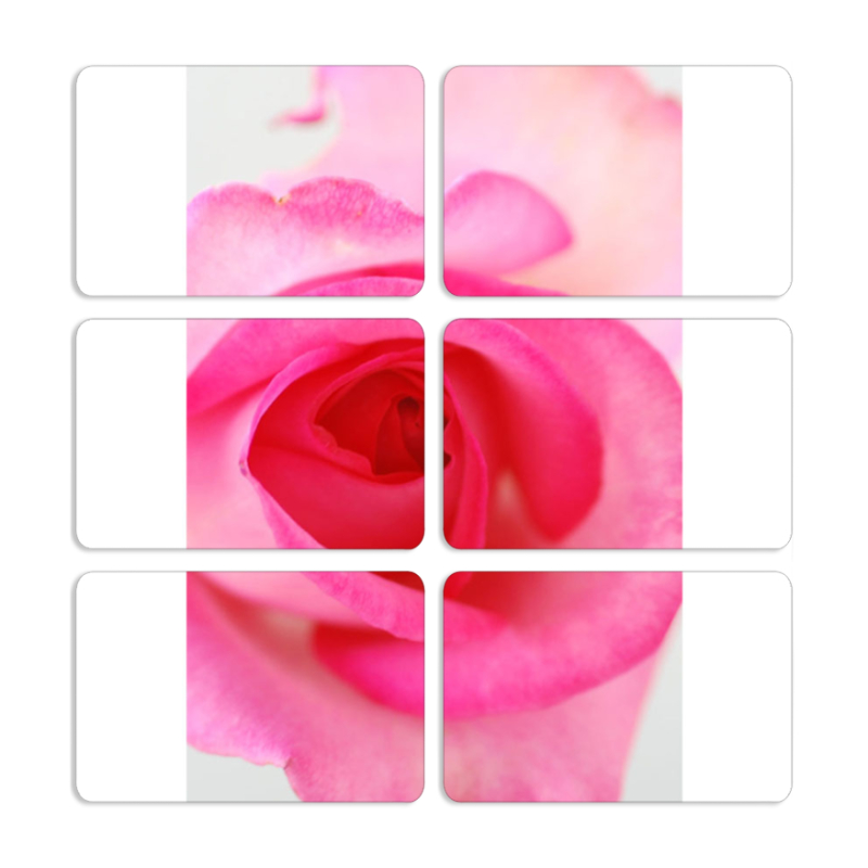 Магнитные фотопазлы 80 на 50 набор 6 штук 