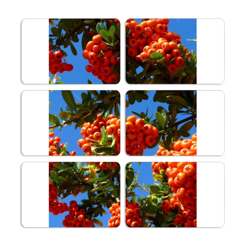 Магнитные фотопазлы 80 на 50 набор 6 штук 