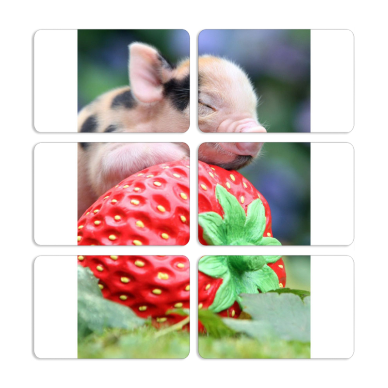 Магнитные фотопазлы 80 на 50 набор 6 штук 