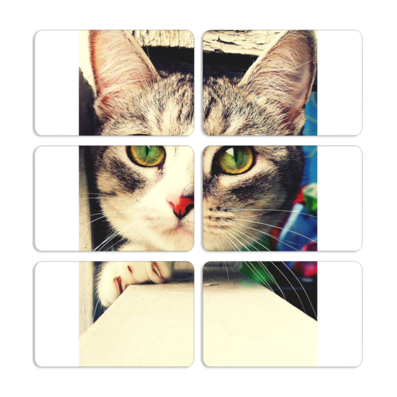 Магнитные фотопазлы 80 на 50 набор 6 штук 