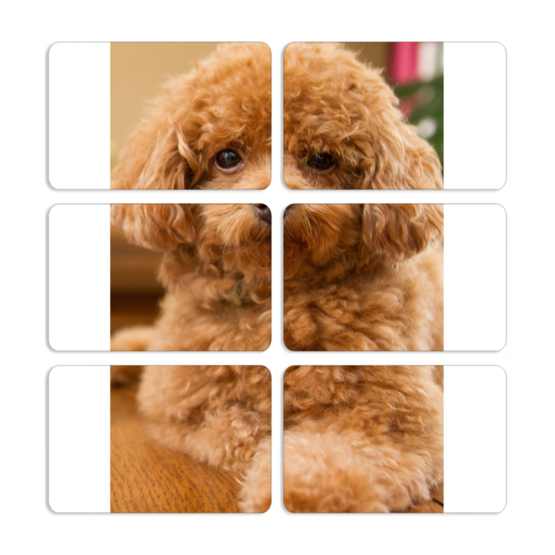 Магнитные фотопазлы 80 на 50 набор 6 штук 