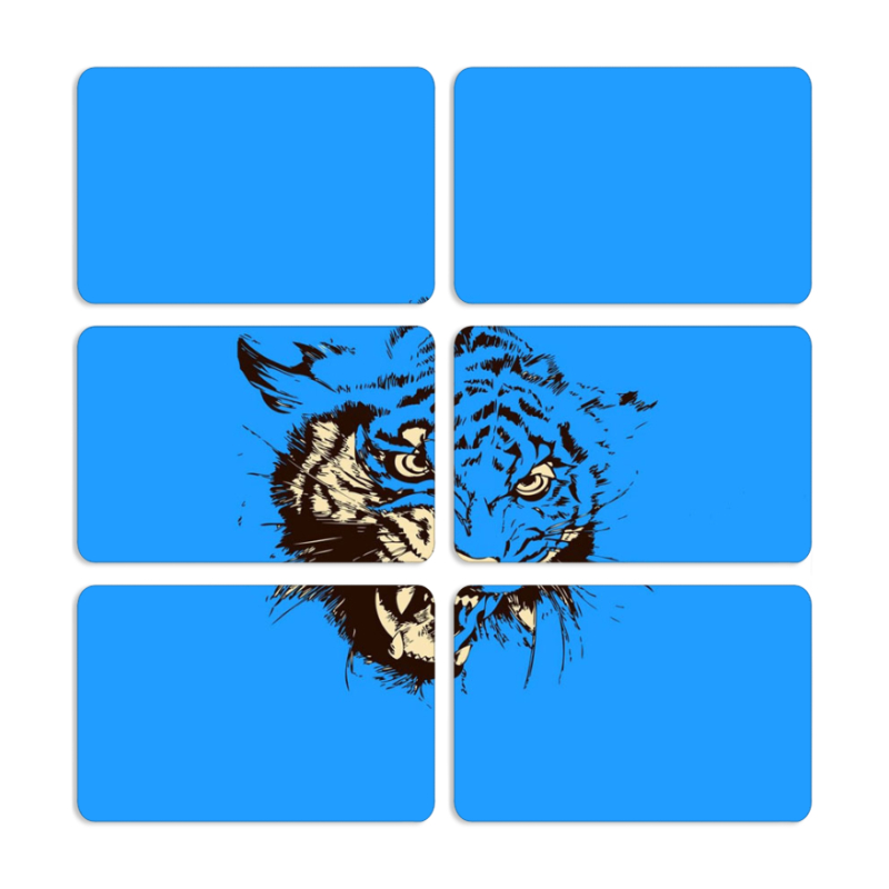 Магнитные фотопазлы 80 на 50 набор 6 штук 