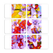 Магнитные фотопазлы 80 на 50 набор 6 штук 