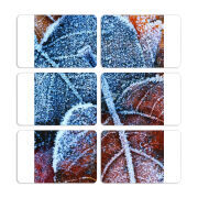 Магнитные фотопазлы 80 на 50 набор 6 штук 