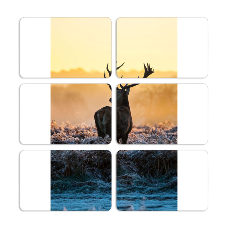 Магнитные фотопазлы 80 на 50 набор 6 штук 