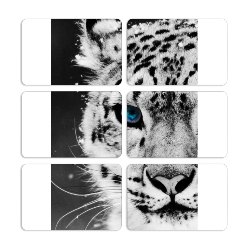 Магнитные фотопазлы 80 на 50 набор 6 штук 