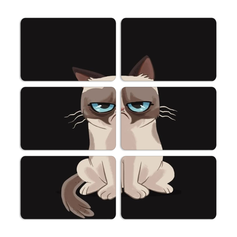 Магнитные фотопазлы 80 на 50 набор 6 штук 