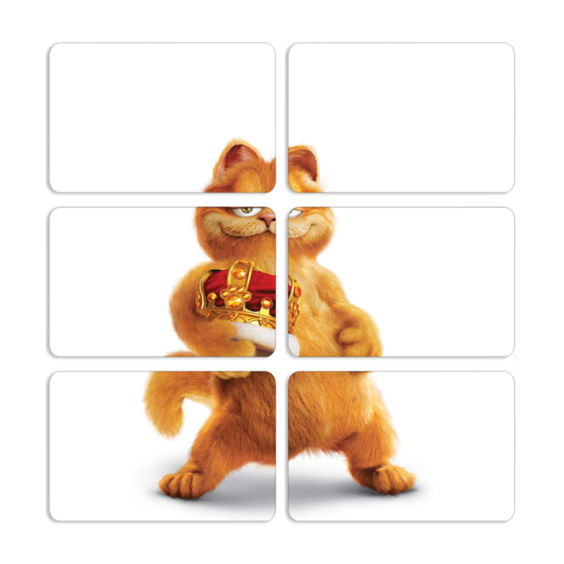 Магнитные фотопазлы 80 на 50 набор 6 штук 