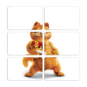 Магнитные фотопазлы 80 на 50 набор 6 штук 