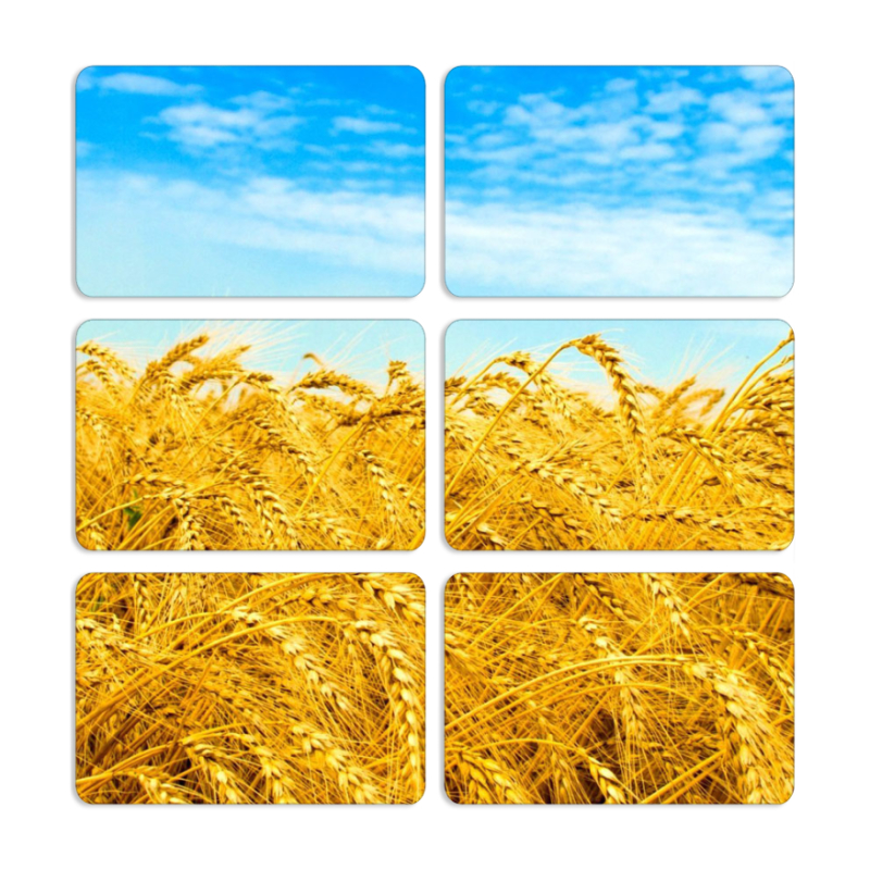 Магнитные фотопазлы 80 на 50 набор 6 штук 