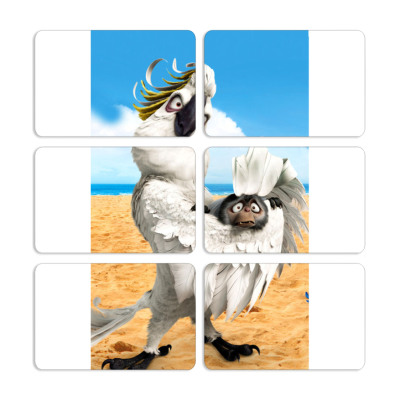 Магнитные фотопазлы 80 на 50 набор 6 штук 