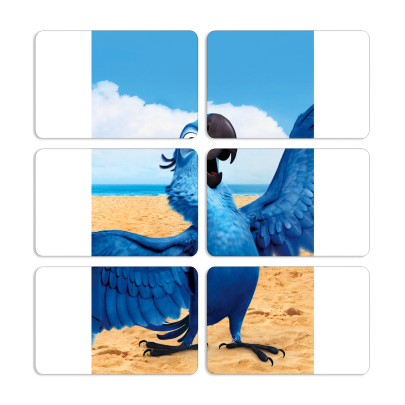 Магнитные фотопазлы 80 на 50 набор 6 штук 