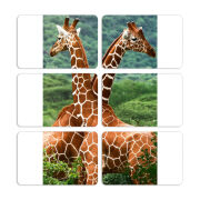 Магнитные фотопазлы 80 на 50 набор 6 штук 