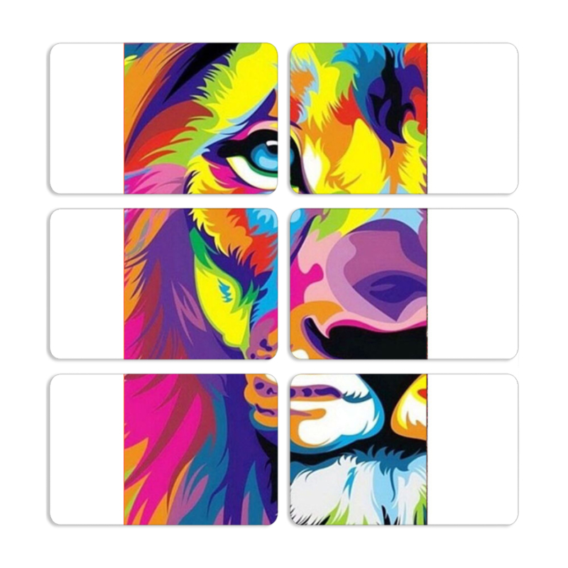 Магнитные фотопазлы 80 на 50 набор 6 штук Frilly Lion