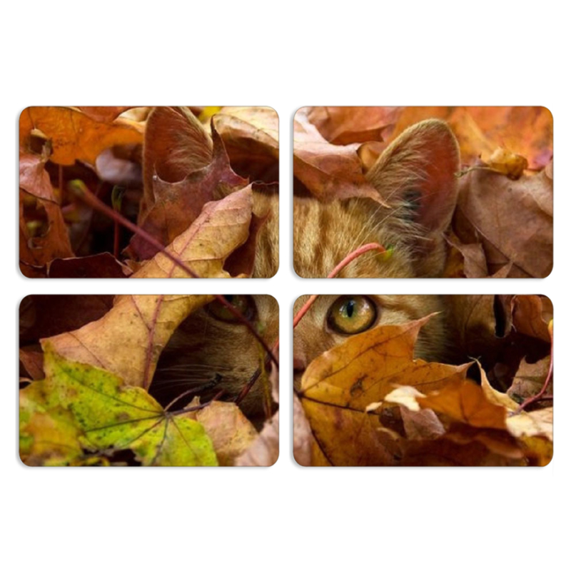 Магнитные фотопазлы 80 на 50 набор 4 штуки 