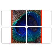 Магнитные фотопазлы 80 на 50 набор 4 штуки 