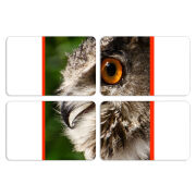 Магнитные фотопазлы 80 на 50 набор 4 штуки 