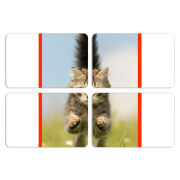 Магнитные фотопазлы 80 на 50 набор 4 штуки 