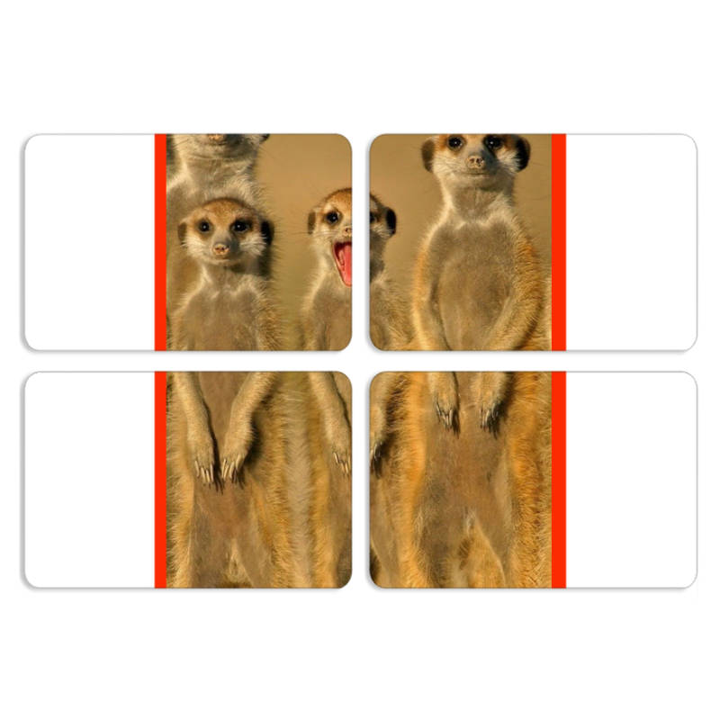 Магнитные фотопазлы 80 на 50 набор 4 штуки 