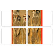 Магнитные фотопазлы 80 на 50 набор 4 штуки 