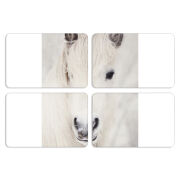 Магнитные фотопазлы 80 на 50 набор 4 штуки 