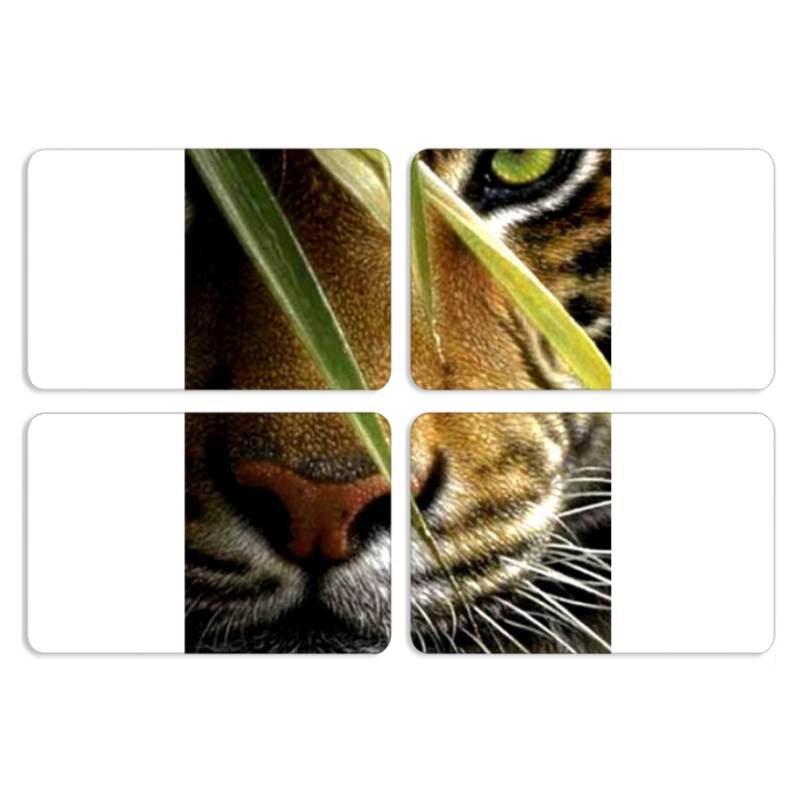 Магнитные фотопазлы 80 на 50 набор 4 штуки 