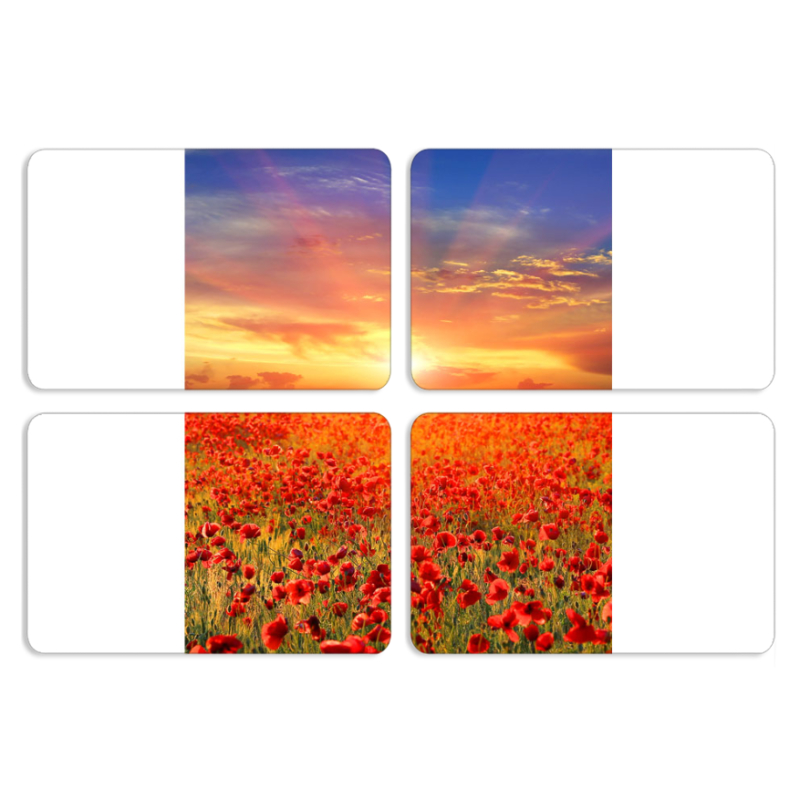 Магнитные фотопазлы 80 на 50 набор 4 штуки 