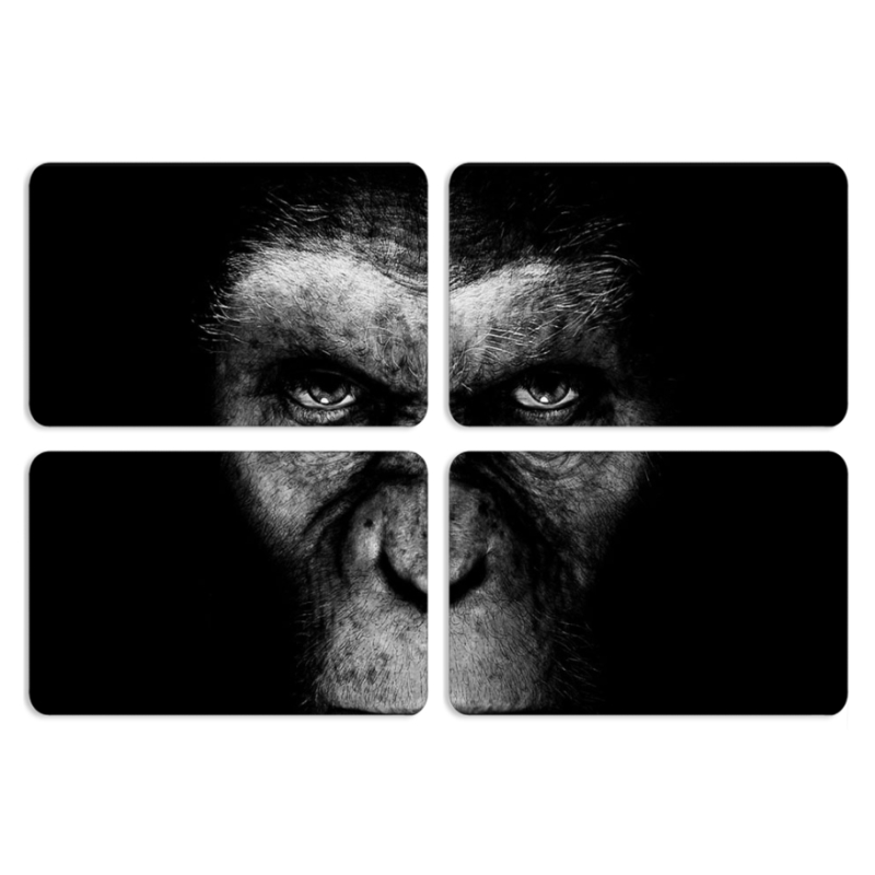 Магнитные фотопазлы 80 на 50 набор 4 штуки 