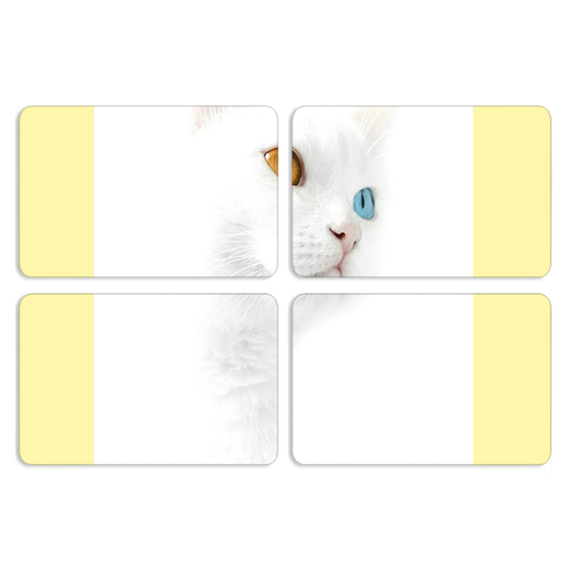 Магнитные фотопазлы 80 на 50 набор 4 штуки 