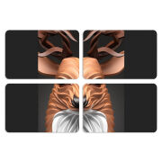 Магнитные фотопазлы 80 на 50 набор 4 штуки 