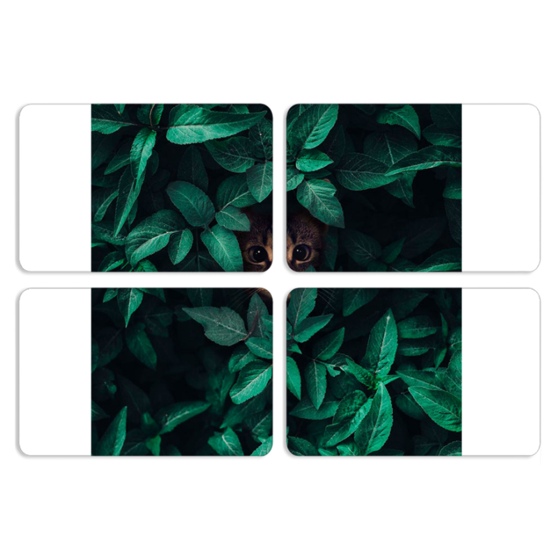 Магнитные фотопазлы 80 на 50 набор 4 штуки 