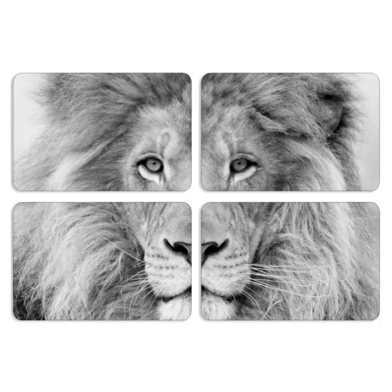 Магнитные фотопазлы 80 на 50 набор 4 штуки 